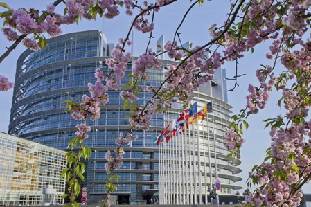 strasburgo_visita_guidata_parlamento_europeo